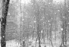 Au căzut primii fulgi de zăpadă în Capitală. Cum se anunţă vremea în zilele următoare