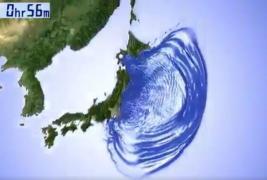 IMAGINI tulburătoare: Un simulator ne arată cât de puternic a fost seimul din Japonia (VIDEO)