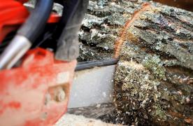 Tovarăşul de băutură i-a tăiat penisul CU DRUJBA! Victima, internată de urgenţă la o clinică de specialitate din Iaşi