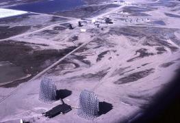 ALERTĂ! Se aude un zgomot CIUDAT. Toate animalele au fugit