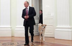 Câinele lui Vladimir Putin ne oferă VIRALUL ZILEI! Reacţia lui Yume când vede doi jurnalişti japonezi (VIDEO)