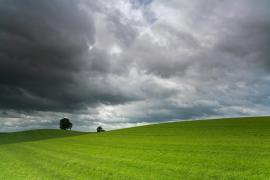 VÂNT PUTERNIC în Dolj şi Mehedinţi, este atenţionare COD GALBEN până la ora 17:00