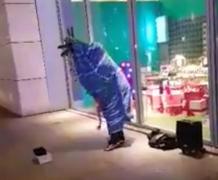 Rapperul 50 Cent, ULUIT de capra românească: "The f**k I just see?" (VIDEO)