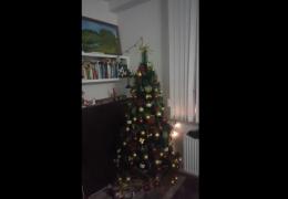 PRIMELE IMAGINI din timpul cutremurului de azi noapte. Seismul s-a simţit puternic în Bucureşti (VIDEO)