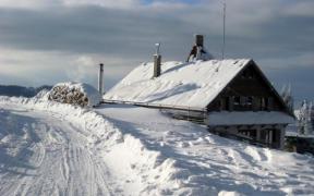 Familii izolate din cauza zăpezii troienite, în județul Alba. Stratul de zăpadă depășește un metru