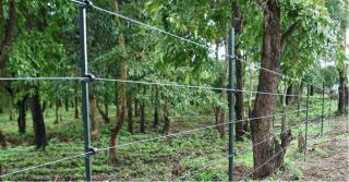 Caz incredibil la Botoşani! Un bătrân de 78 de ani, trimis în judecată după ce a ELECTROCUTAT un copil!