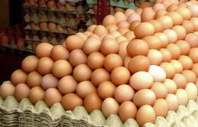 Alertă de salmonella în România! 330.000 de ouă au fost retrase de pe piaţă!