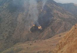 Unul dintre cei mai renumiţi musulmani din lume se afla în avionul prăbuşit în Pakistan. În tragedie au pierit şi soţia şi cei trei copii ai fostului cântăreţ