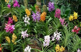 A fost aleasă culoarea anului 2017!