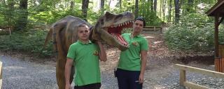 Dinozauri și fosile preistorice, noua atracție a românilor! Ce surprize cuprinde parcul ?