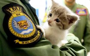 Unui britanic nu i-a venit să creadă ce a găsit în maşina sa. Imaginile au făcut înconjurul lumii (GALERIE FOTO)