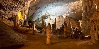 Uimitor! Doi pui de dragon au eclozat în peştera Postojna din Slovenia