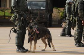 Incident la Rio. Fotoreporter român, blocat de armată pe Copacabana. “Mi-am dat seama imediat că nu e glumă”