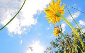 Cum va fi VREMEA în următoarele două săptămâni. Ce temperaturi vor fi până pe 28 august