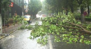 AVERTIZARE METEO: COD GALBEN de vijelii în Moldova