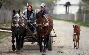 Declaraţia surprinzătoare a unui afacerist englez: “Am jurat că vin în România după oameni harnici, nu englezi puturoși!”