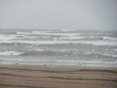 AVERTIZARE METEO: COD GALBEN de furtuni și vijelii. Care sunt zonele vizate