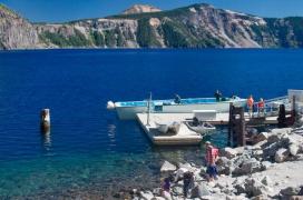 INCREDIBIL! Are 450 de ani şi de mai bine de 100 de ani pluteşte în poziţie verticală într-un lac. Povestea “Bătrânului” care a lăsat cu gura căscată o lume întreagă