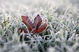 VINE FRIGUL! Vremea se schimbă radical: Meteorologii anunță că temperaturile vor ajunge la 0 grade Celsius