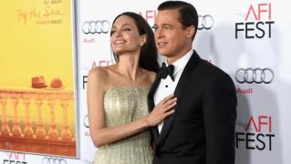 DIVORŢUL anului sau SCANDALUL anului? Răsturnare de situaţie în cazul Brangelina: "Femeile alea sunt nişte vrăjitoare. I-au spălat creierul Angelinei" (FOTO)