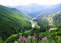 Un ISTORIC bulgar încinge spiritele: România este o “creaţie ARTIFICIALĂ” şi balada Mioriţa este "bulgărească"