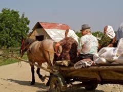 Mărturii ŞOCANTE despre România: “Aici, toată lumea e numai după bani, bani, bani”; “Nu am înţeles niciodată de ce sunt oamenii în România aşa stresaţi. Explodaţi din orice”