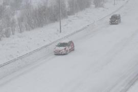 ALERTĂ METEO! Cod galben de POLEI şi NINSORI până sâmbătă, la ora 12:00. PROGNOZA METEO pentru următoarele zile 