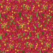 90% dintre cei care încearcă să facă acest test eșuează. Arată că ești printre ceilalți 10%!