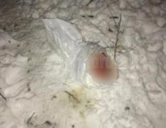 Scene ÎNFIORĂTOARE la Suceava. Nou-născut abandonat într-o pungă de plastic, MÂNCAT parţial de câini