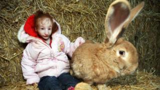 O fetiţă din Marea Britanie - o adevărată curiozitate a naturii! La vârsta de şase ani măsoară mai puţin decât un iepuraş şi cântăreşte 4 kilograme!