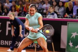 Monica Niculescu şi Ana Bogdan, eliminate în primul tur la Australian Open