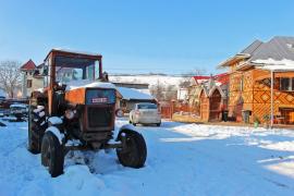 Pagube de zeci de milioane de lei în agricultură, din pricina gerului! O treime din culturile de toamnă sunt afectate în Vaslui