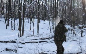 Vânător împuşcat ÎN FAŢĂ de un coleg, la o partidă de vânătoare. Victima, transportată de urgenţă la Satu Mare