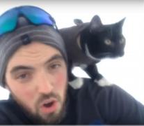 Şi pisicile adoră sporturile de iarnă! O felină aproape că zboară pe pârtie, în compania stăpânului său. Imagini VIRALE