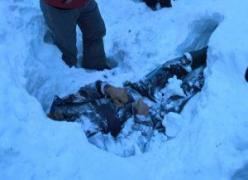 Descoperire macabră între staţiunile Predeal şi Azuga. Cadavrul înghețat al unui bărbat, găsit sub zăpadă de jandarmii montani