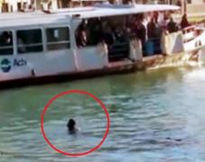 IMAGINI DRAMATICE: Refugiat LĂSAT SĂ MOARĂ în apele Veneției. Oamenii de pe mal au râs de el şi au privit nepăsători cum se îneacă! (VIDEO ŞOCANT)