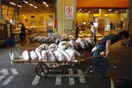 Premieră pentru Japonia: a găzduit peste un milion de muncitori străini în 2016