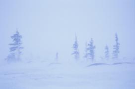 COD GALBEN de VISCOL, în vigoare până la ora 10. Vreme geroasă şi ziua, şi noaptea în acest weekend