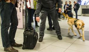 Descoperire ŞOCANTĂ în Italia, pe aeroportul din Torino! Cu au găsit inspectorii vamali în bagajul unei românce e INCREDIBIL