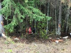 Accident SPECTACULOS în Pasul Tihuţa! Un şofer A ZBURAT cu maşina de pe şosea şi s-a PRĂBUŞIT într-o râpă! Imagini de la locul accidentului