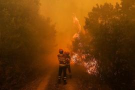 Doliu naţional în Portugalia, în urma incendiilor mortale din Peninsula Iberică. Ultimul BILANŢ al infernului: 39 de morţi şi zeci de răniţi. IMAGINI DE GROAZĂ