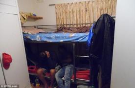 Zeci de români trăiesc înconjuraţi de GUNOI şi ŞOBOLANI într-o casă cu patru camere din Londra - GALERIE FOTO