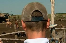 OROARE într-o comună din Neamţ! Un adolescent a fost SECHESTRAT şi ATACAT CU TOPORUL de un cioban. "Ţi-l fac bucăţi şi ţi-l trimit acasă!"