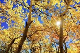 Temperaturi UNICE în octombrie, înregistrate astăzi în două oraşe din România. Record pentru ultima jumătate de secol