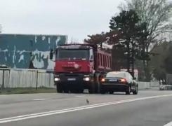 Un tânăr de 18 ani, DROGAT şi FĂRĂ PERMIS, a condus pe CONTRASENS pe un bulevard aglomerat din Constanţa - VIDEO