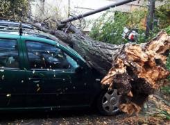 Vremea face ravagii în ţară! Zeci de maşini distruse, mii de case fără curent şi drumuri înzăpezite!