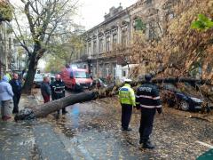 HAOS în Bucureşti din cauza VIJELIEI. Peste 80 de maşini făcute praf de copacii căzuţi, acoperişuri smulse şi aruncate pe străzi, zeci de intervenţii simultane