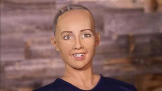 Cum arată Sophia, primul robot din lume care a primit cetăţenia unei ţări - VIDEO