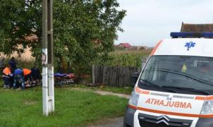 Moarte îngrozitoare pentru un tânăr din Dâmboviţa. În timp ce aduna nuci din copac, a căzut şi s-a înfipt în prăjina cu care lovea crengile