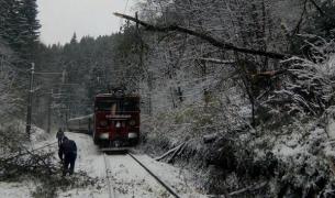 Întârzieri de până la 120 de minute la trenurile de pe Valea Prahovei, după ce un copac a fost doborât de vânt
